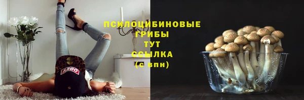 ешки Нефтегорск