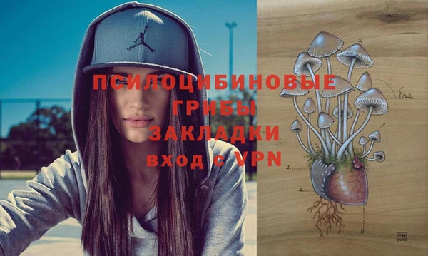 2c-b Алексин